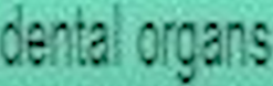 f4488004-e9f9-4957-84b7-1de6d91127ba-image.png
