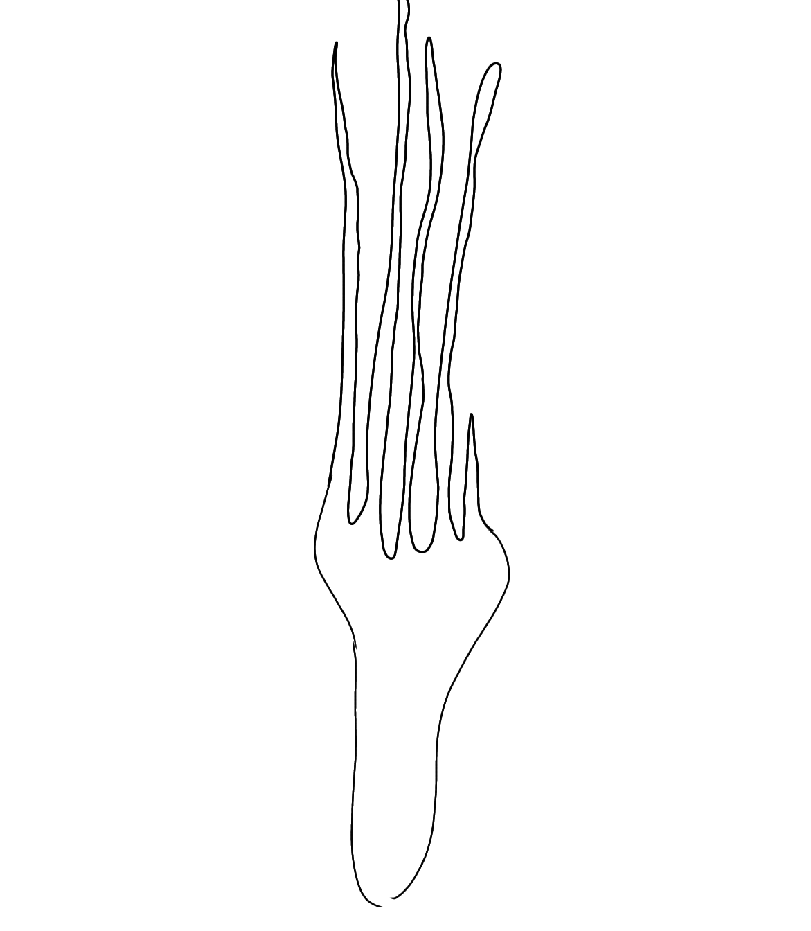 Untitled157 (4).png