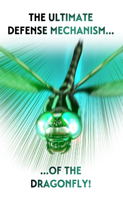 2f06c540-def6-41f9-9ac2-12557ab10cd3-image.png