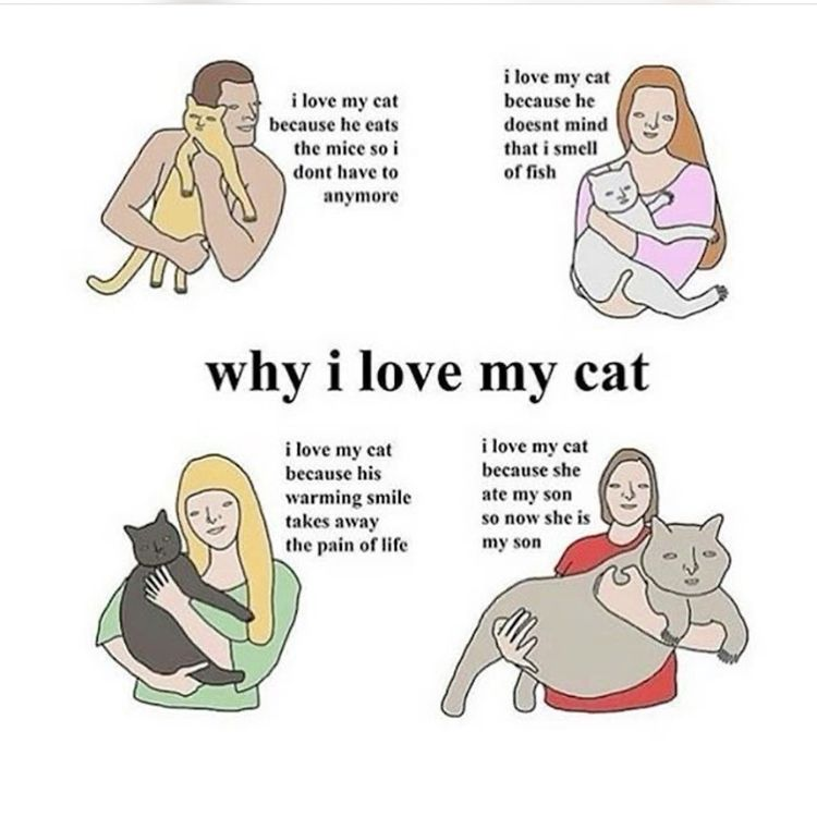 fd0b66b2-c34f-482a-b1ed-61f593595201-image.png