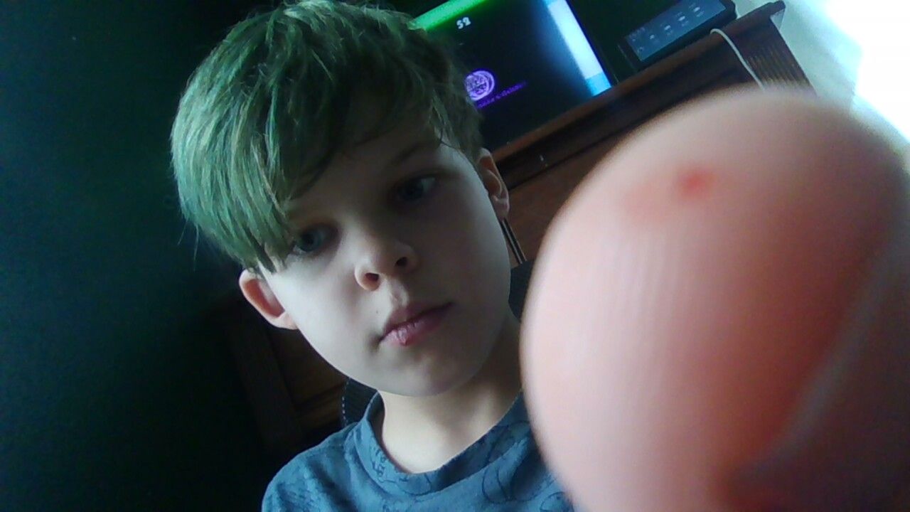 IMG_20231002_155229.jpg