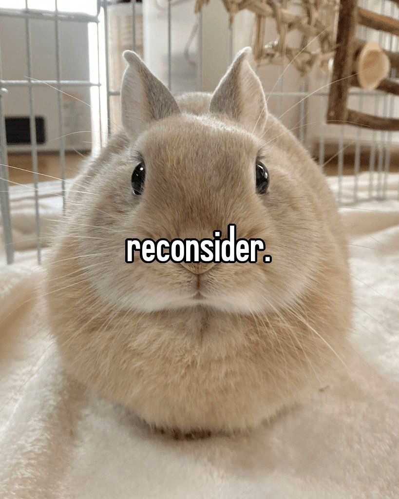 reconsider.jpg