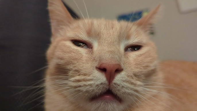 77b09059-f62c-42c5-8b72-ced9346a78eb-image.png