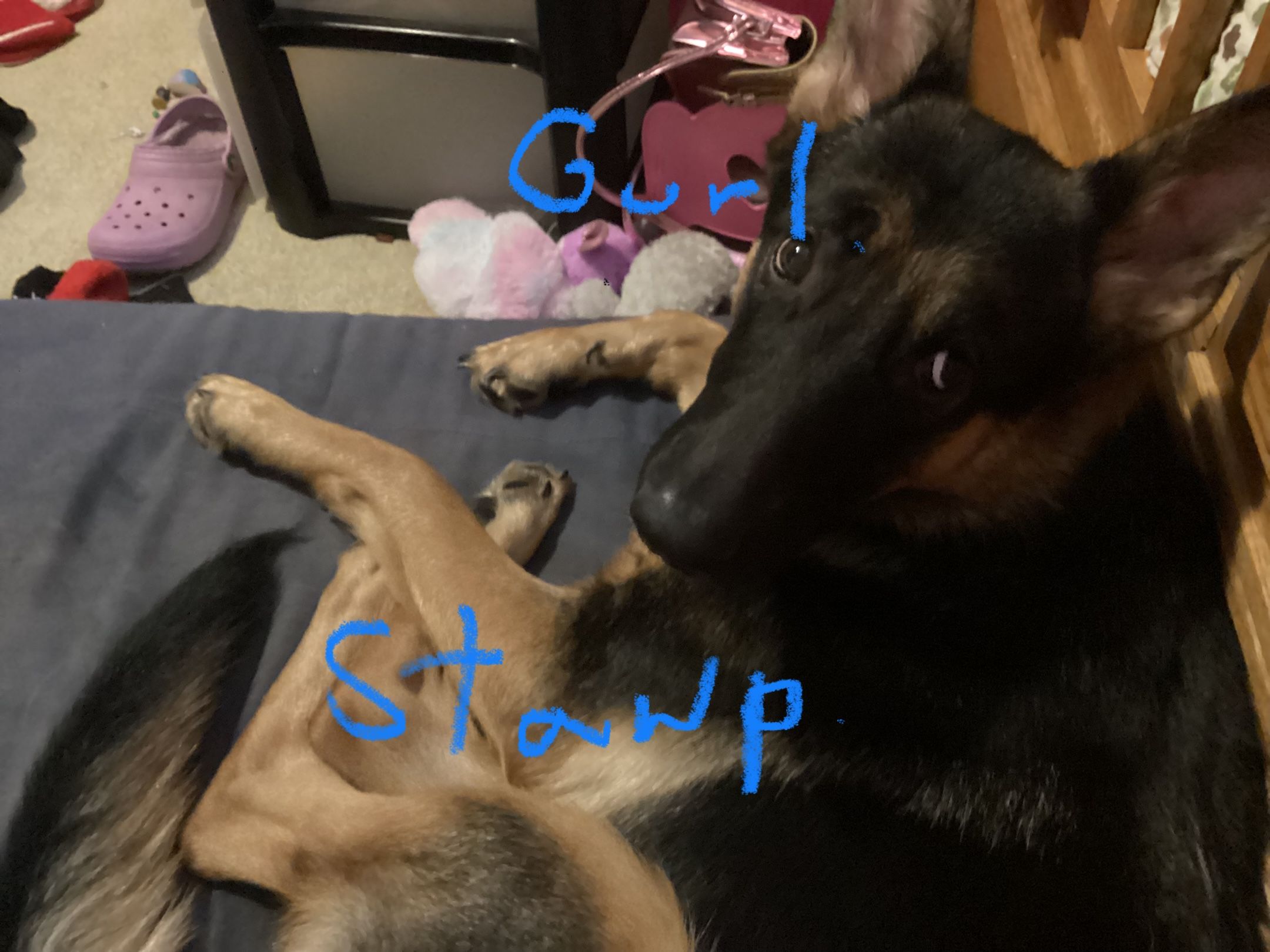1D626586-3E6D-410A-B3F1-CCB9B17C77AE.jpeg