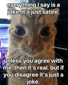 96e02da2-1e35-49a1-b1a3-5cab42008992-image.png