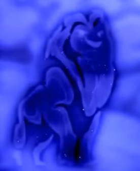7c956bd2-1447-4219-adc0-f47a58f9c1d1-image.png