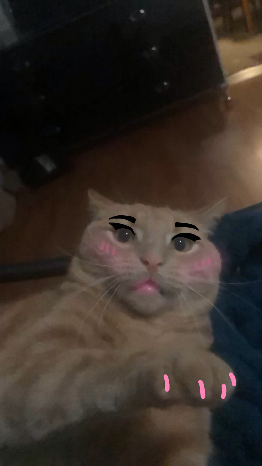 Untitled34_20240105181407.png