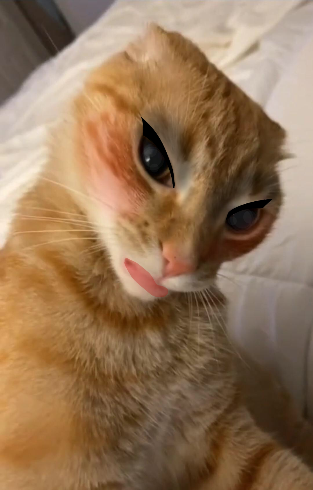 Untitled29_20231231220532.png