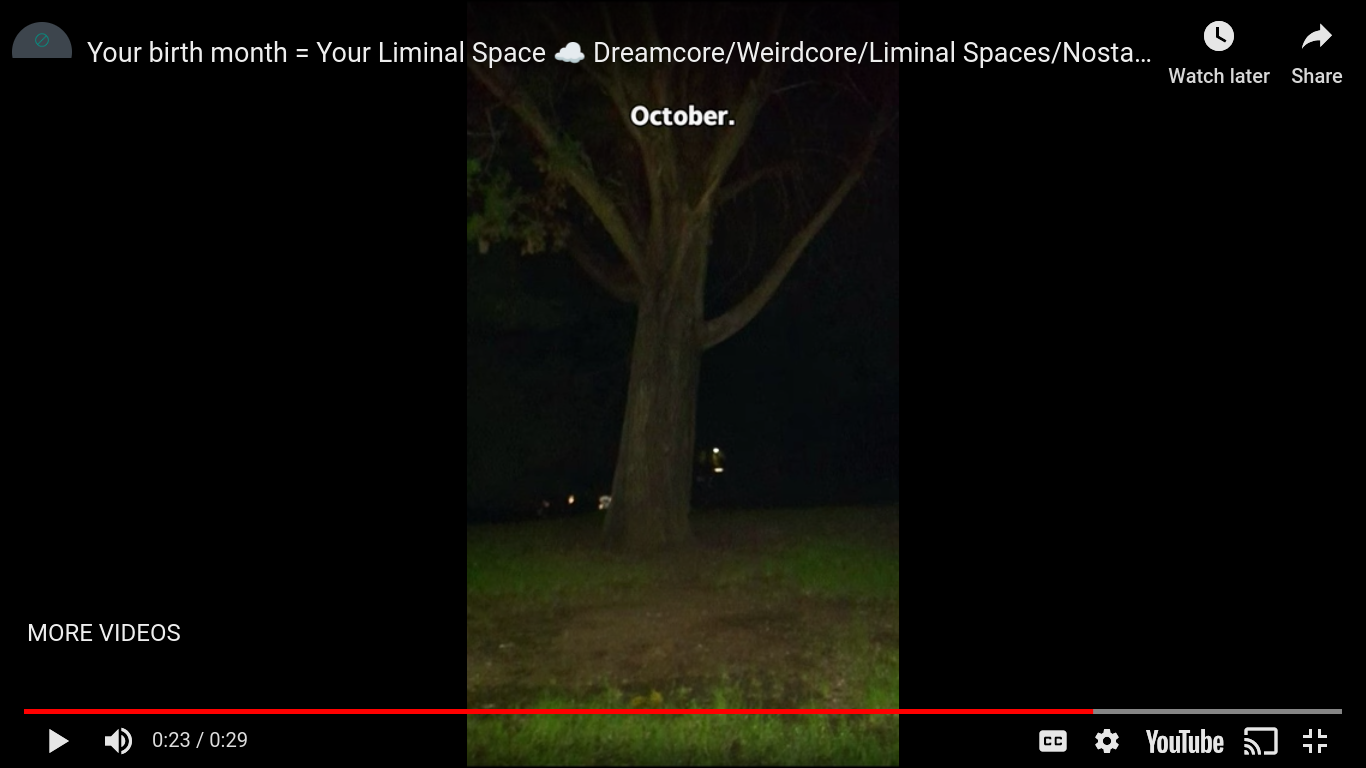 Screenshot 2024-02-20 5.34.43 PM.png