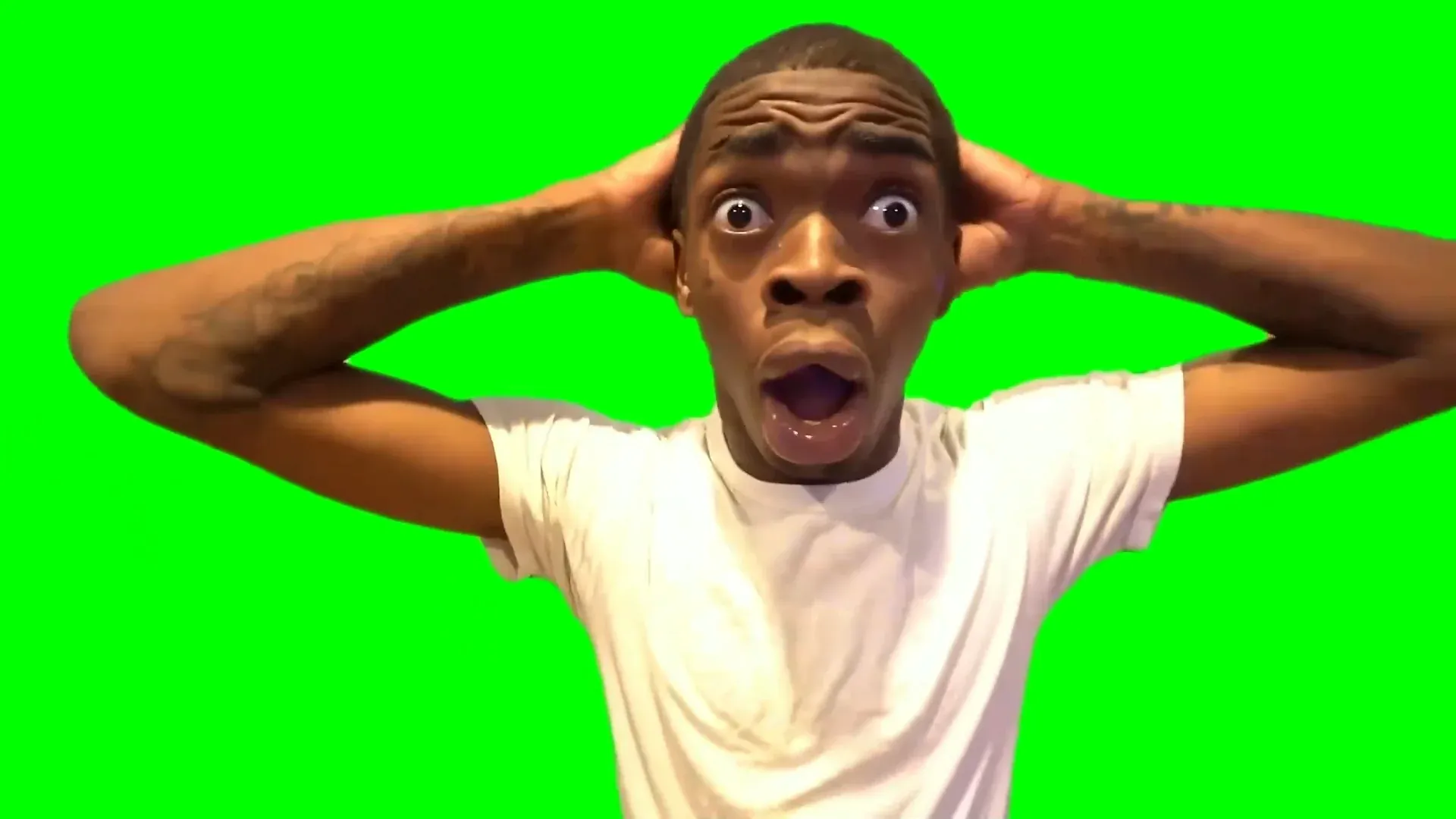 shocked_face_meme_green_screen_creatorset.mp4_2023-01-27_03-57-29.901.webp