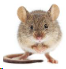 b21d7ef1-76ba-4127-9755-77ee307e9c4b-image.png