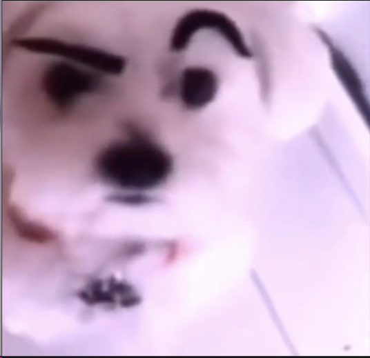8d2238da-b4ed-466a-a772-b537c71d7a38-image.png