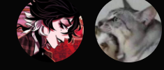 Screenshot 2024-03-14 9.14.32 AM.png