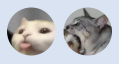 2bc6a76d-7204-4b06-b802-db15a5c8f800-image.png