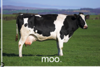 0202846c-f257-4142-958b-10acb349b294-image.png