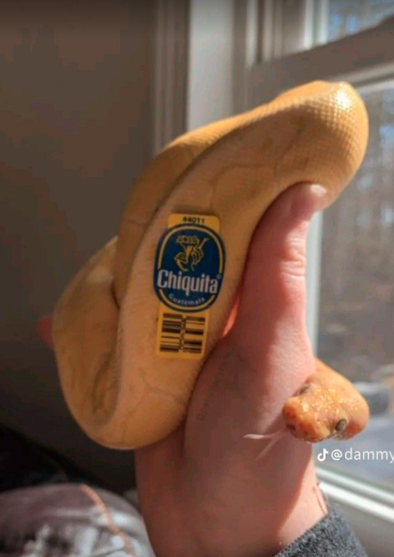 59219188-95e4-4c78-a856-e005d1204054-image.png
