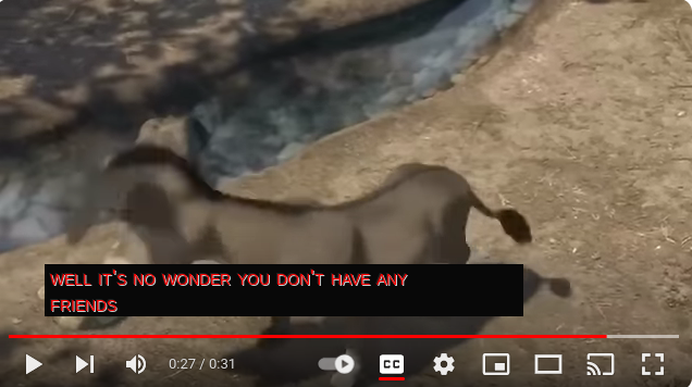 985807d1-dd0c-47e6-a0df-f278c411e9bc-image.png