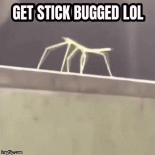 RickrollGIF.gif
