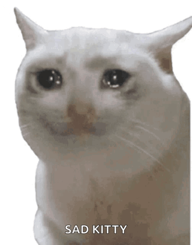 SadCatGIF.gif
