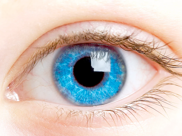 a3fdef53-eac6-4870-a988-2883e6f80392-image.png