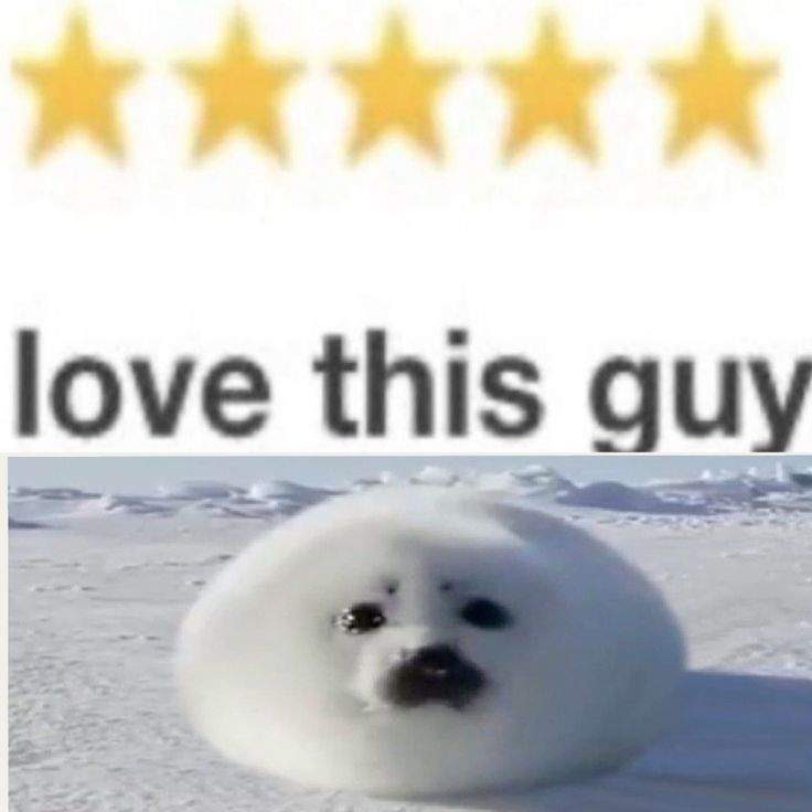 love thes guy.jpeg