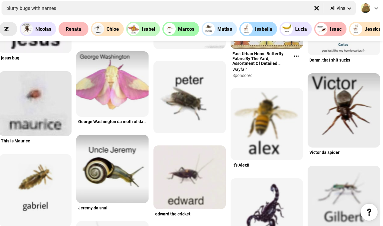 98ac5282-174f-4ef0-8352-8b1a665a5a9e-image.png