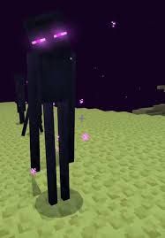 images (11).jpeg