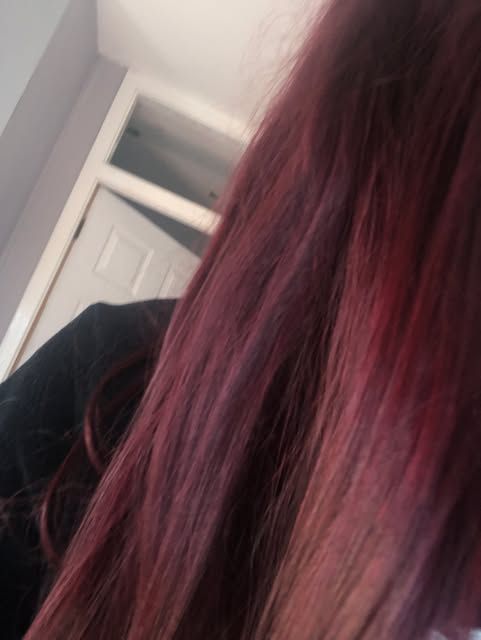 IMG_7282.jpeg
