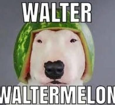images (15).jpeg