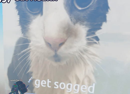 f3e81966-bb2f-4482-9145-54ceff23ba31-image.png