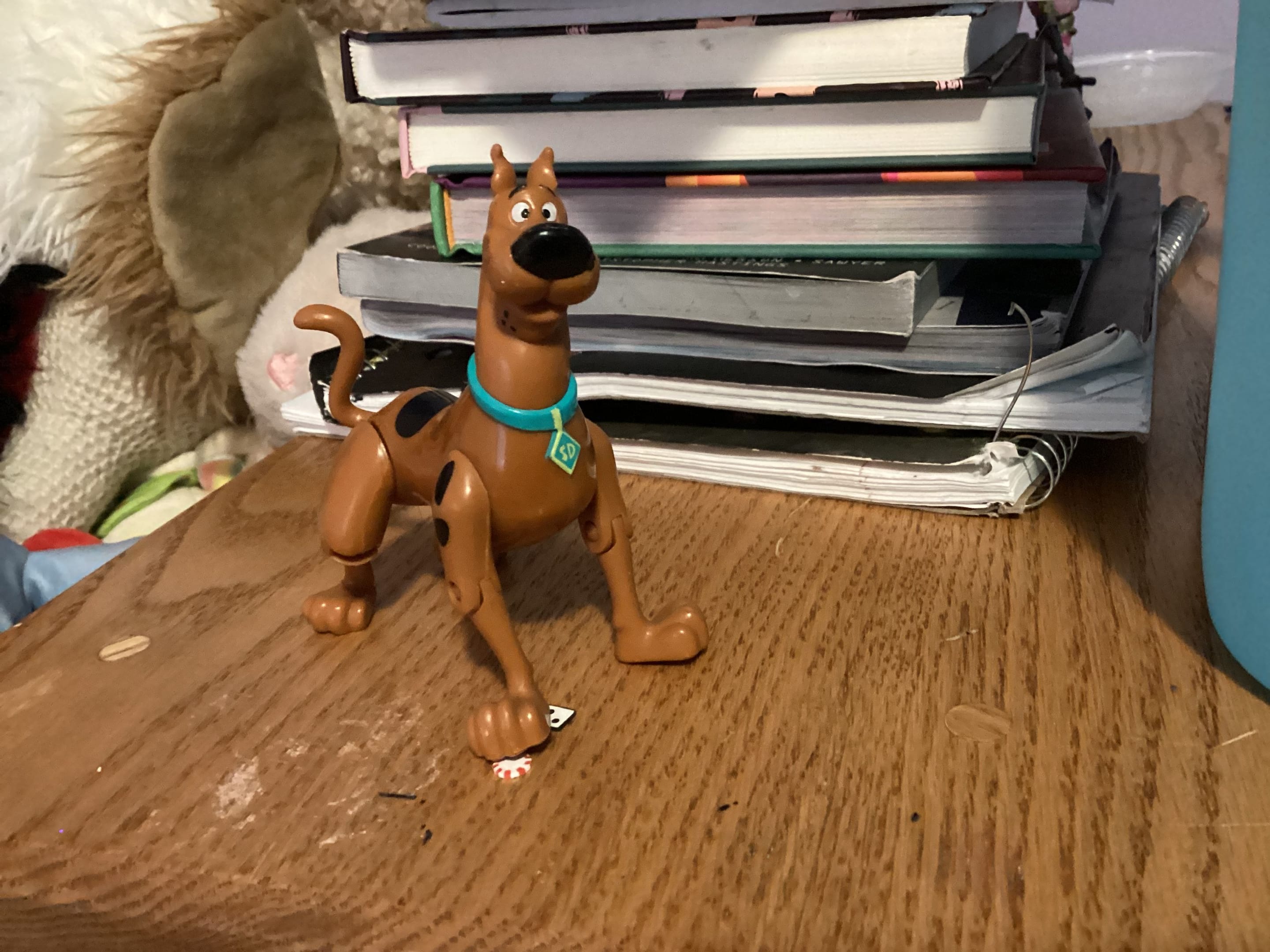 AF0B1AF1-6D71-49A5-AE6F-0918C4C1F20C.jpeg