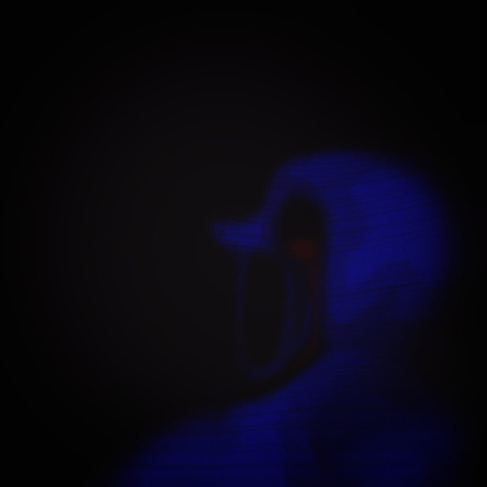 1000005858.png