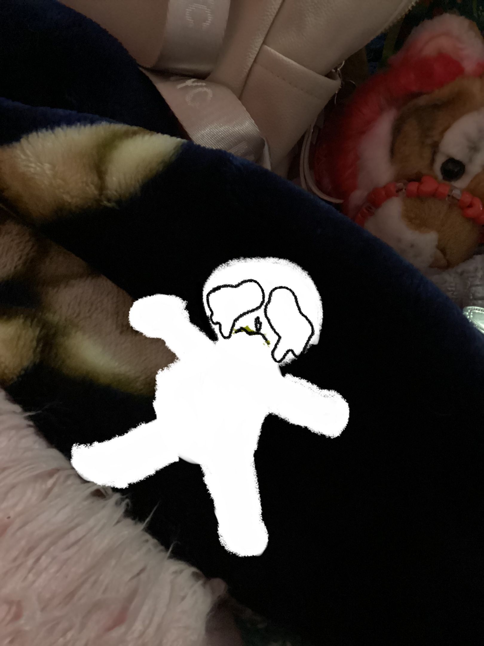 1044600F-E4AD-4183-AF40-3C41F429B679.jpeg