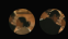 c9c1da92-4140-4b84-8495-8fe7695156f0-image.png