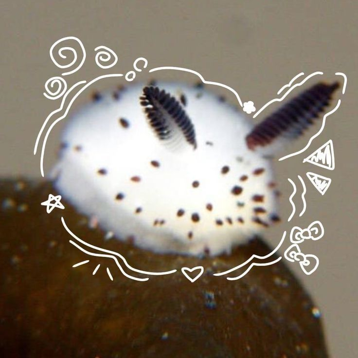 1c9c8eb8-9312-44fb-81ee-38a179730f49-image.png