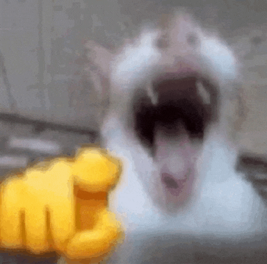 159075e4-73d6-4b33-a01b-89815c4864b2-image.png