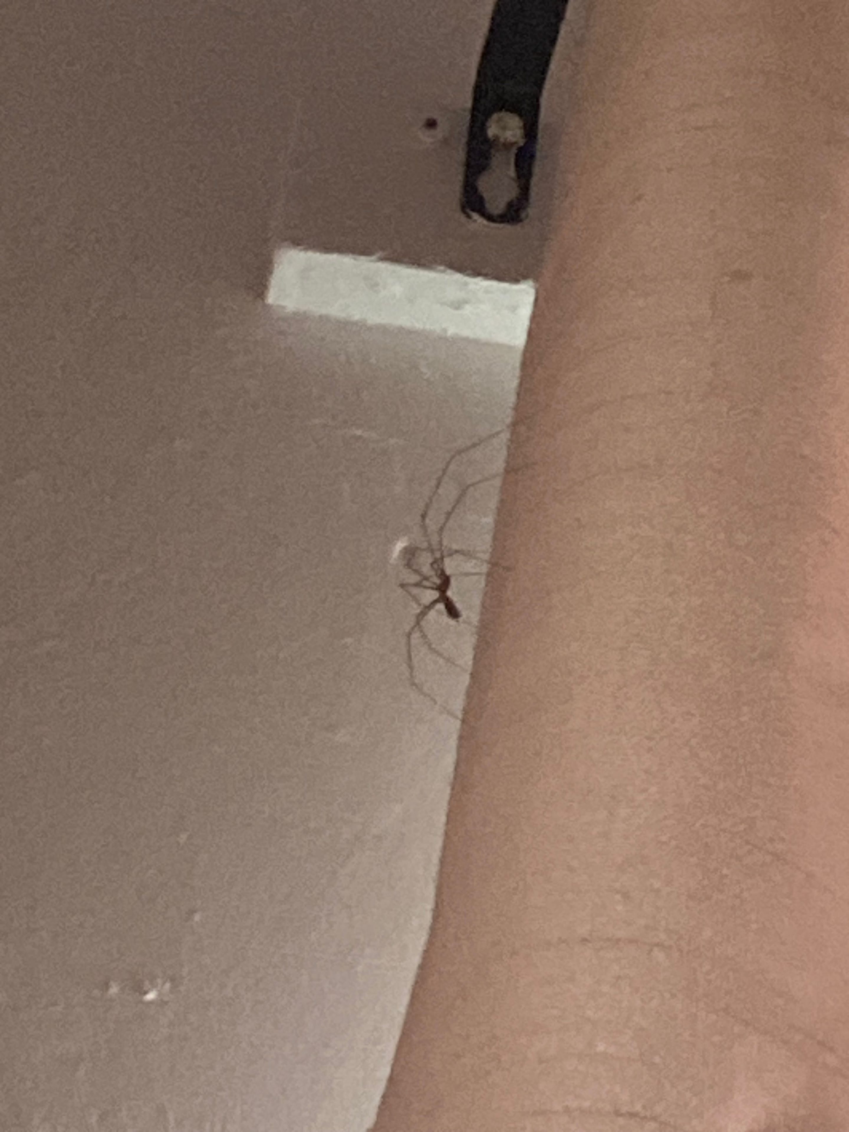 IMG_0802.jpeg