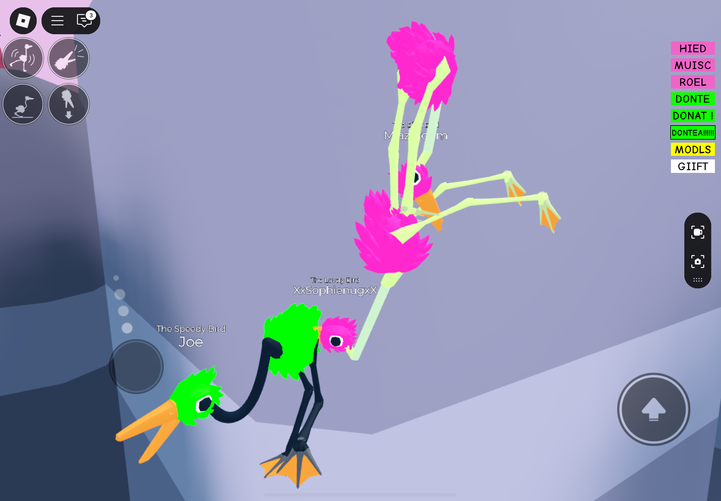 IMG_8545.png
