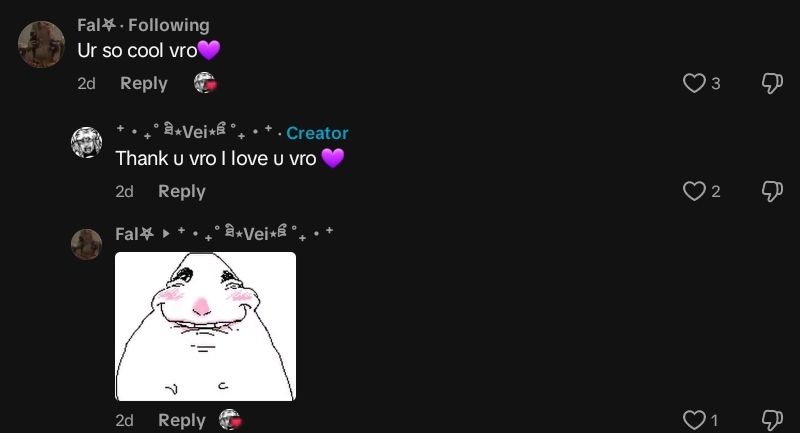 Screenshot_20250910-142924_TikTok.jpg