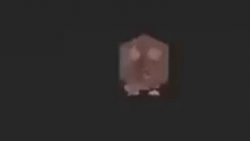 RatSpinGIF.gif