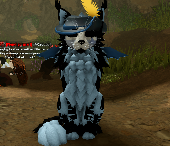 Screenshot 2026-02-20 192251.png