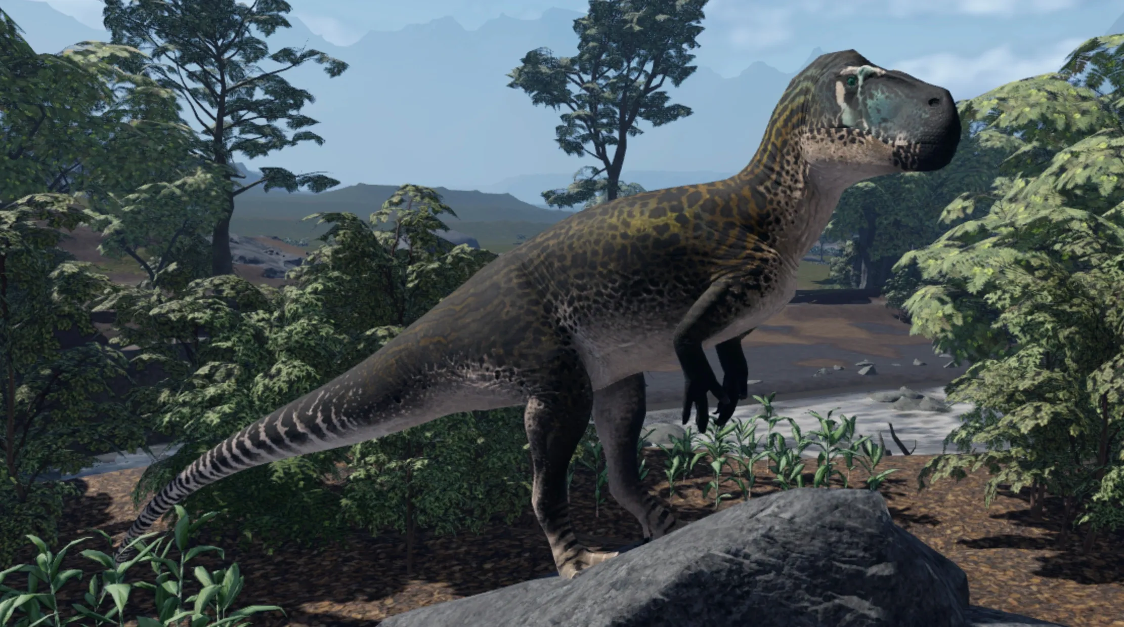 Rainforest_Torvo_Male.webp
