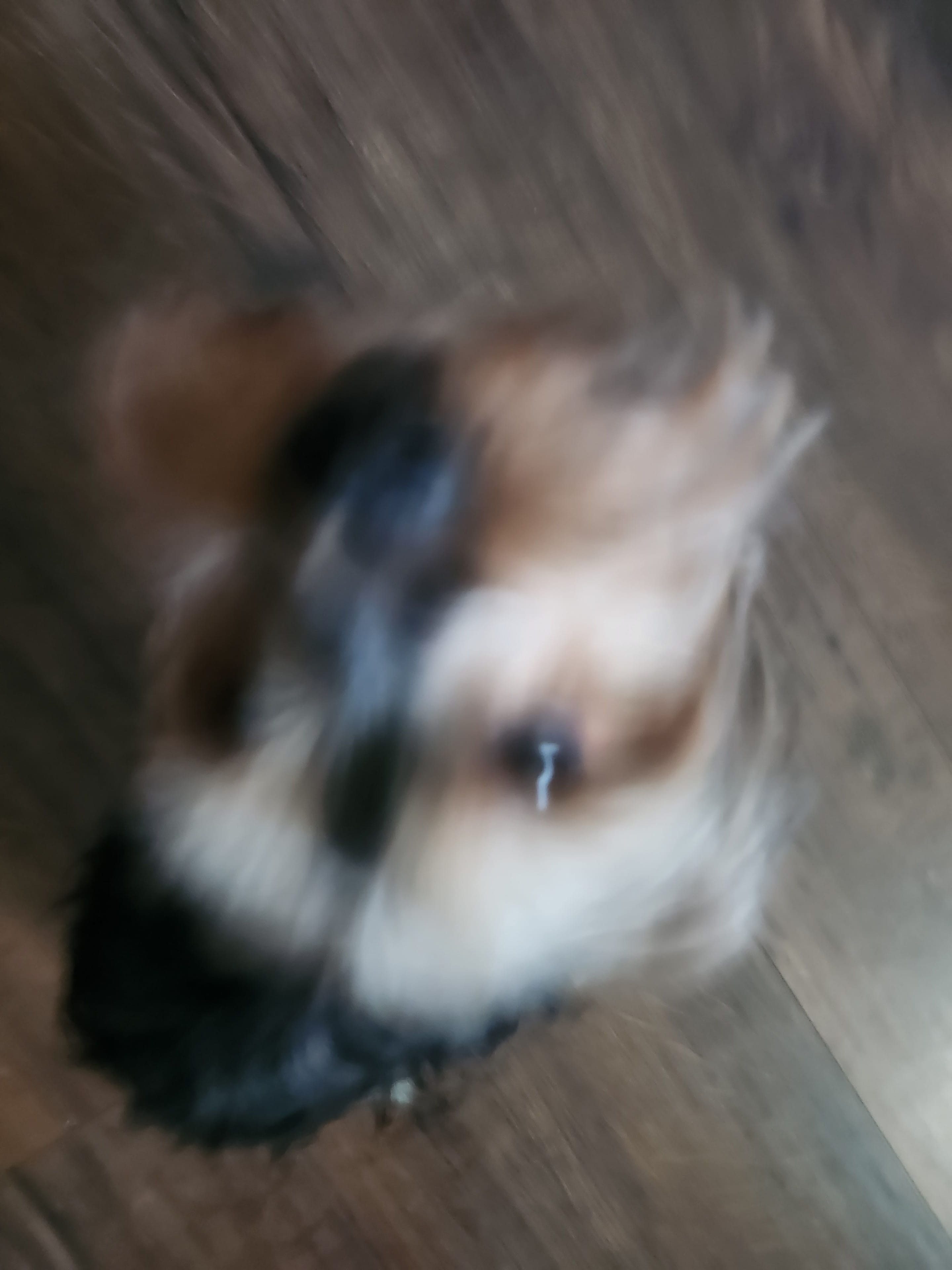 20260825_112722.jpg