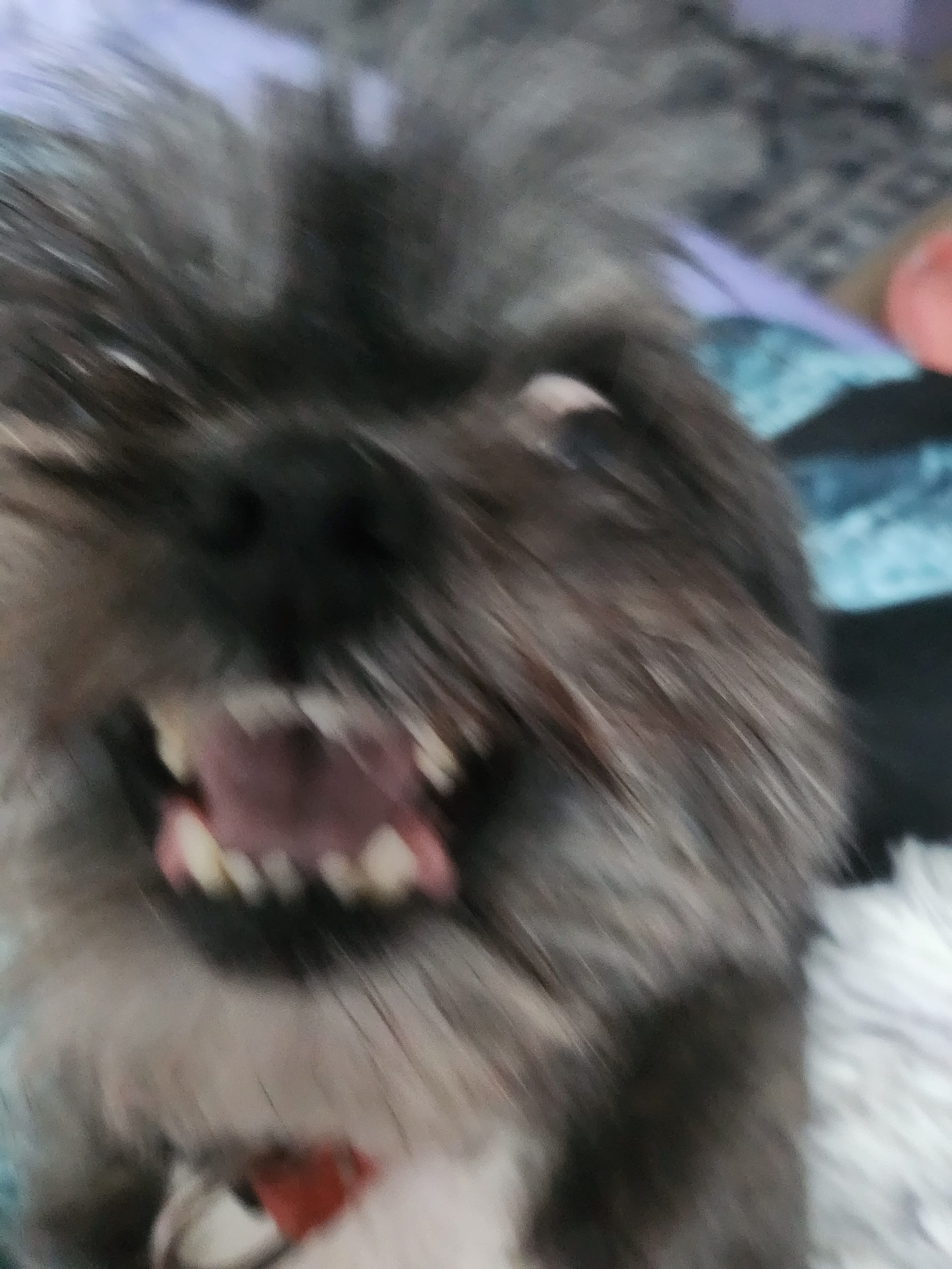 20261002_141245.jpg