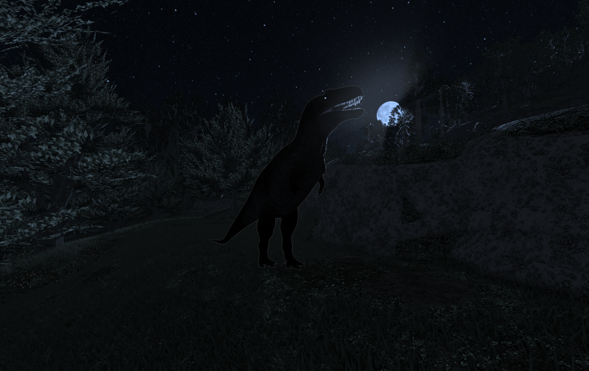 3696593043_77911437721987_1791245935476.png