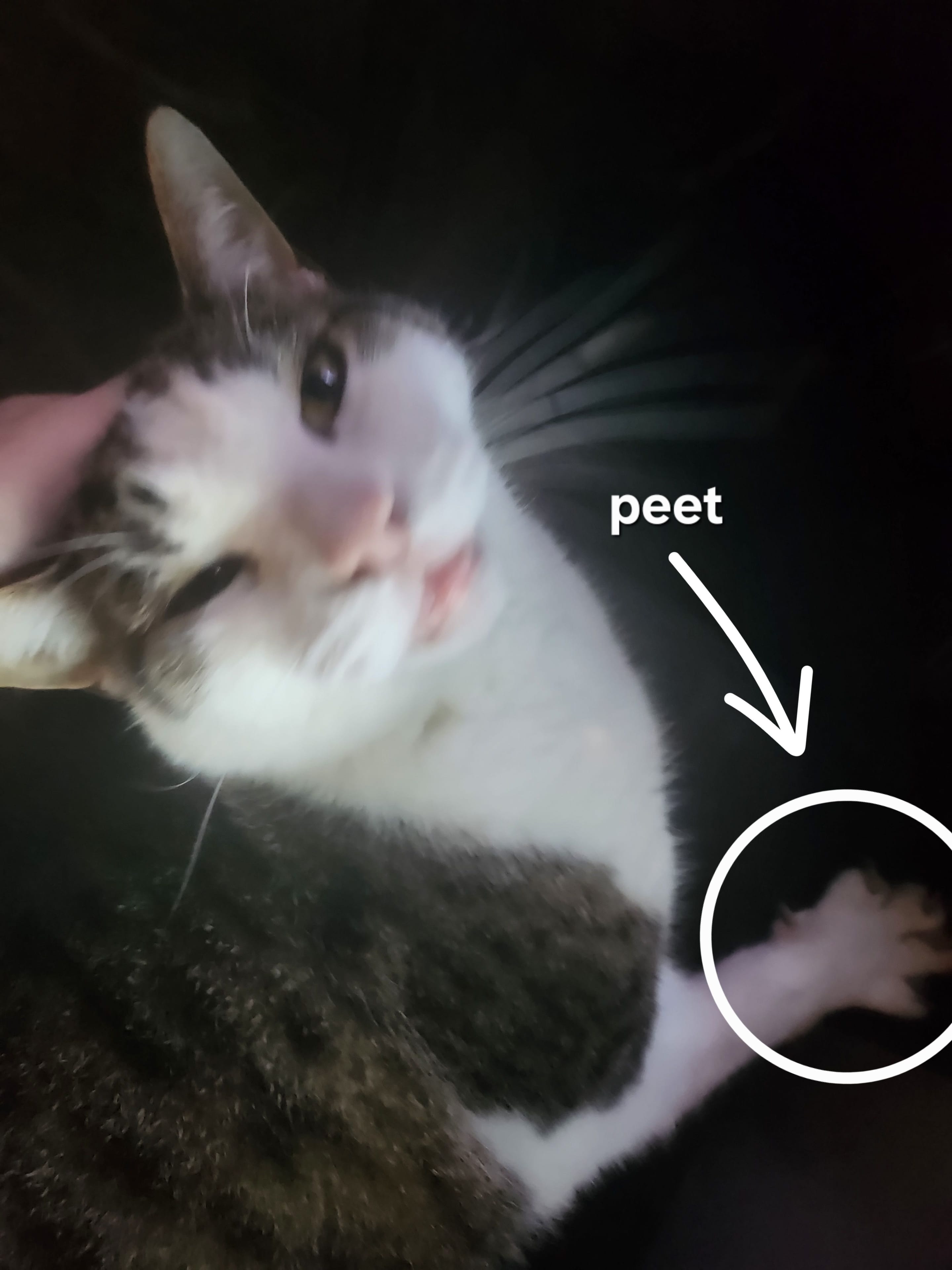 20261025_174522.jpg
