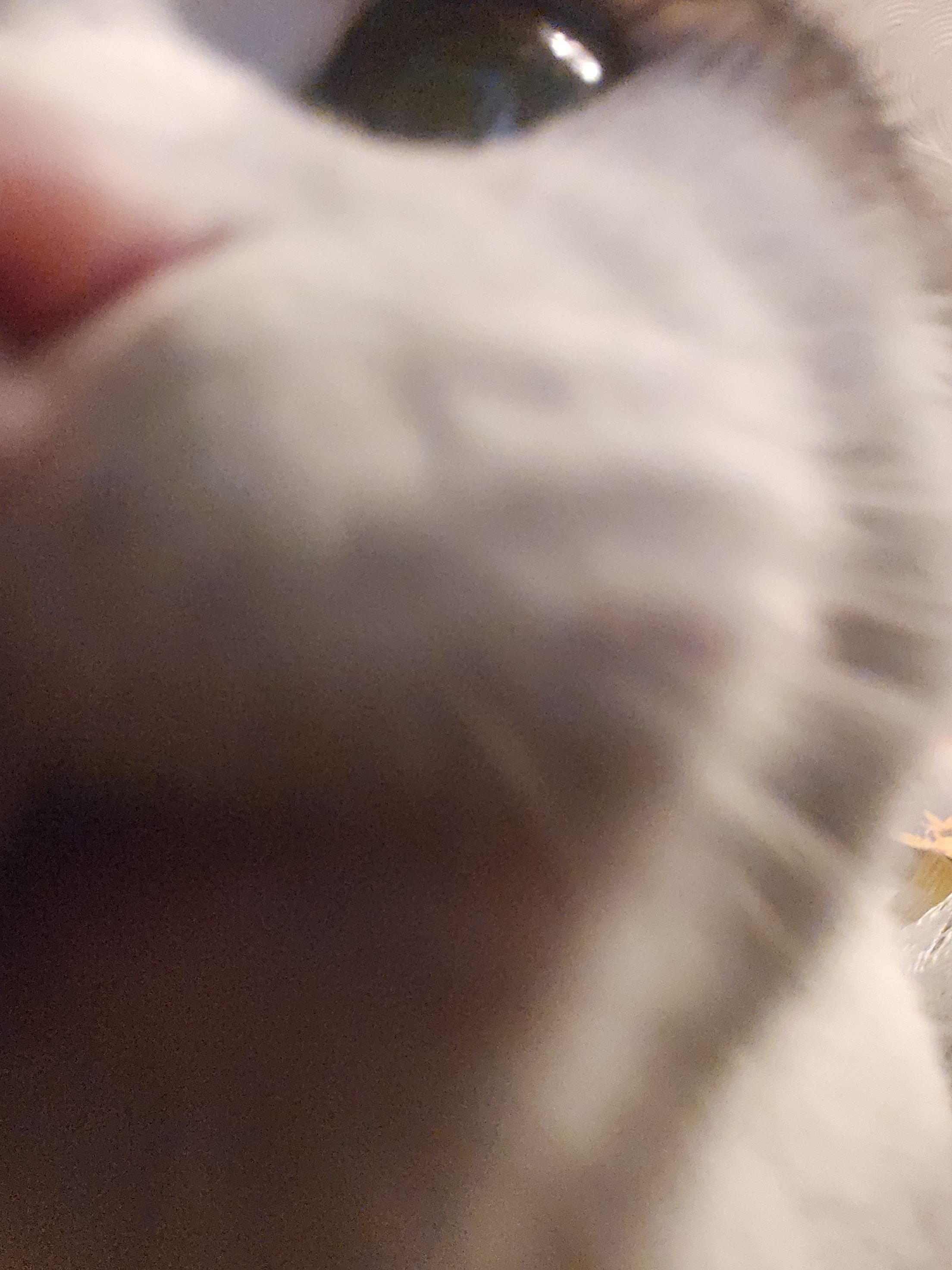 20261030_011008.jpg