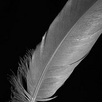 Feather