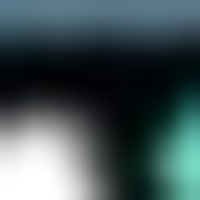 [REDACTED] the [REDACTED]