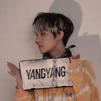 yangyang_x2